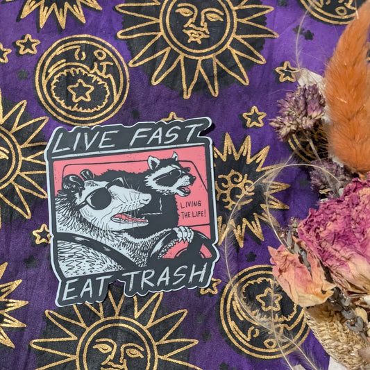 Live Fast Eat Trash Sticker