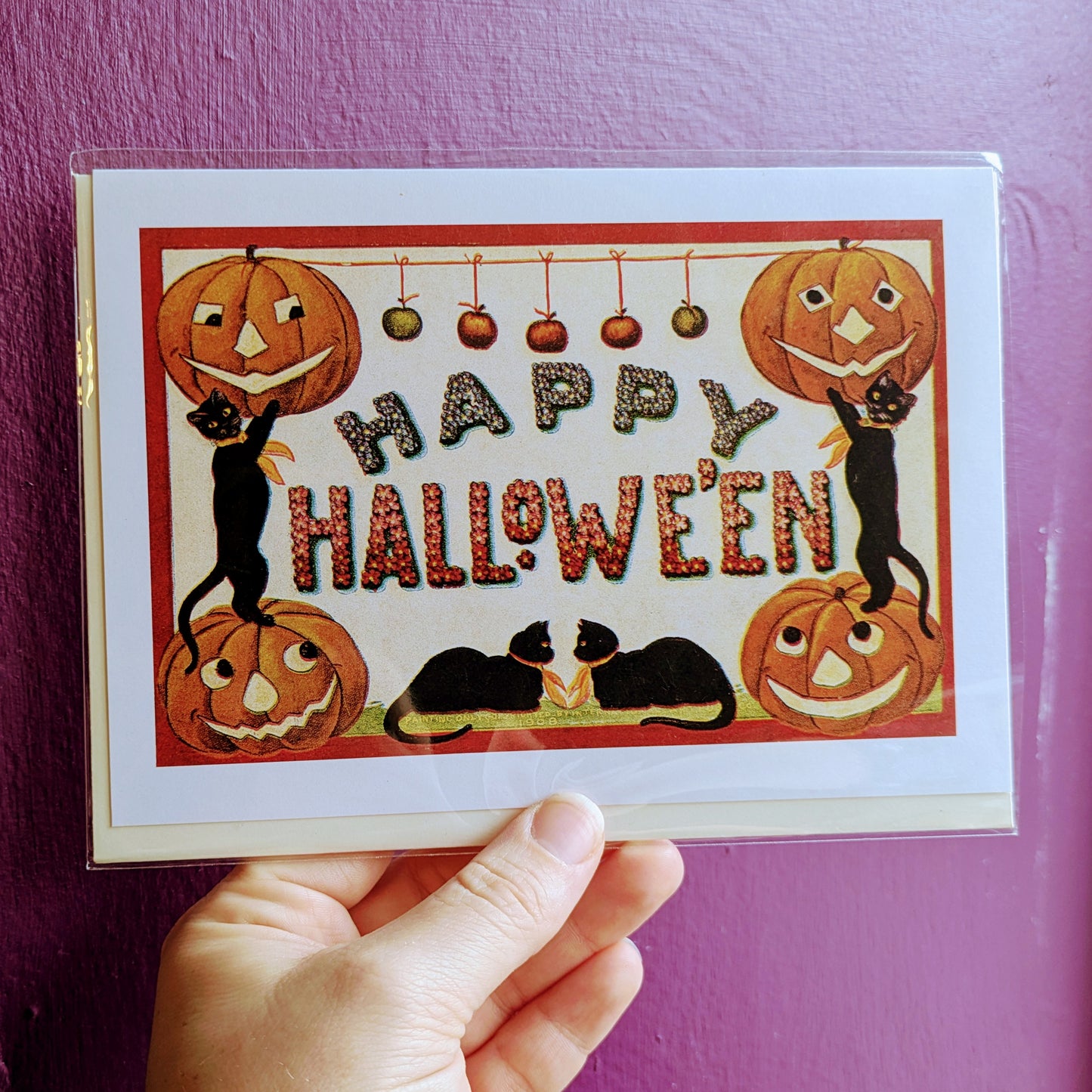 Happy Halloween Greeting with Black Cats and Pumpkins Card