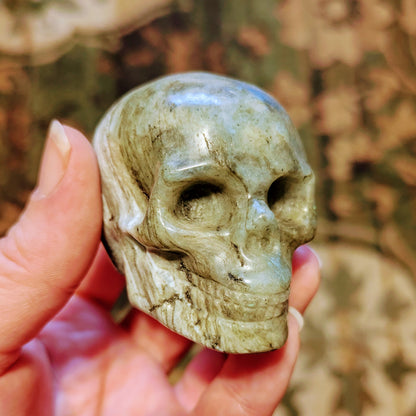 Labradorite Skull